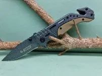 Nôž zatvárací, carbon