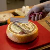 Profesionálny nôž na polotvrdý syr, 210 mm, červený