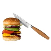 Steakové nože Oslo+, sada 2 kusov