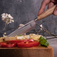 Steakové nože Oslo+, sada 2 kusov