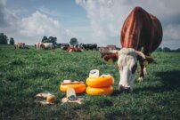 Krájač syra Delft Blue