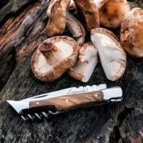 Vreckový nôž s vývrtkou Luxury Line - olivové drevo