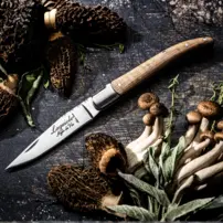 Vreckový nôž Luxury Line - javorové drevo