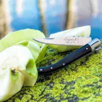 Vreckový nôž Luxury Line - čierne drevo Pakka