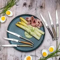 Steakové nože Premium Line - sada 6 kusov - Treasure