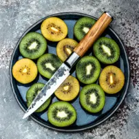 Kovaný nôž na vykosťovanie Forged Olive