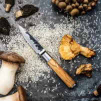 Kovaný nôž na zeleninu Paring Knife Forged - Olive