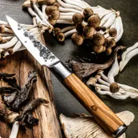 Kovaný nôž na zeleninu Paring Knife Forged - Olive