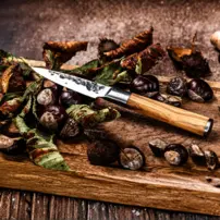 Kovaný univerzálny nôž Utility Knife Forged - Olive