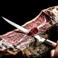 Kovaný nôž na filetovanie rýb Forged Olive