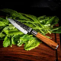 Kovaný nôž Petty Forged Olive