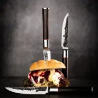 Steakové nože kované Sebra - sada 4 kusov, Sebra