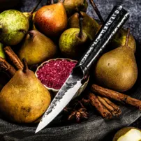 Kovaný nôž na zeleninu Paring Knife Forged - Brute