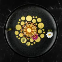 Formičky Plate-it - Kruh - Sada 3 kusov