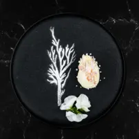 Quenelle lyžičky Plate-it - L - sada 2 kusov