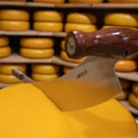 Holandský nôž na syr s profesionálnou drevenou rukoväťou L 380 mm