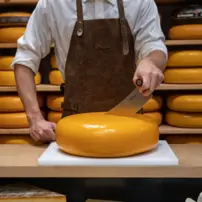 Holandský nôž na syr s profesionálnou drevenou rukoväťou L 380 mm