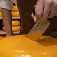 Holandský nôž na syr s profesionálnou čiernou rukoväťou, veľkosť XL, 430 mm