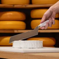 Profesionálny nôž na polotvrdý syr, 210 mm, biely