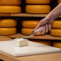 Profesionálny nôž na mäkký syr, 140 mm, biely