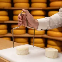 Struna Roquefort bow XL 240mm