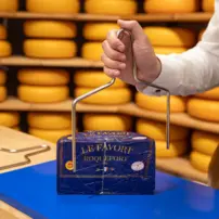 Struna Roquefort bow L 240mm