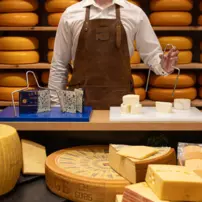 Struna Roquefort bow XL 240mm