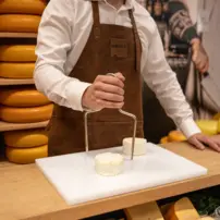 Struna Roquefort bow XL 240mm