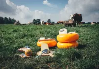 Strúhadlo na syr Delft Blue