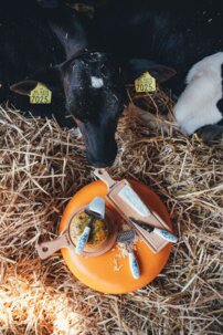 Strúhadlo na syr Delft Blue