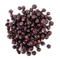 Mrazom sušené ovocie čučoriedka