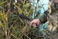 Mačeta MAVERIG Kukri HASTAA