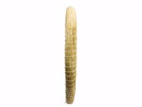 Terčovnica, slamená 60cm/6cm