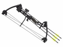 Kladkový luk Barnett Vortex Lite